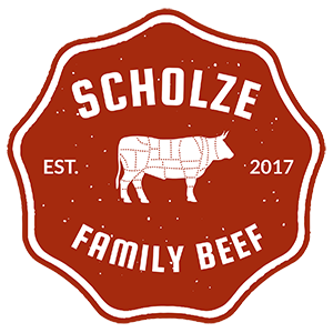 Scholze Logo