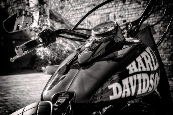 Harley Biker
